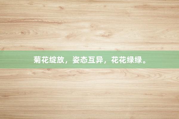 菊花绽放，姿态互异，花花绿绿。
