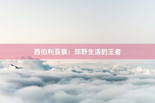 西伯利亚狼：郊野生活的王者